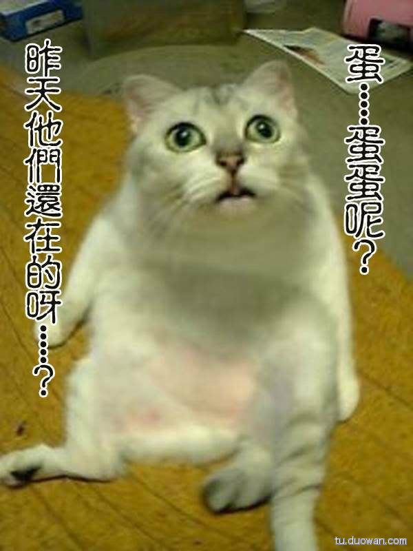 1475369103jMx.jpg
