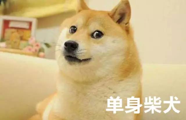 1477904216YYo.jpg