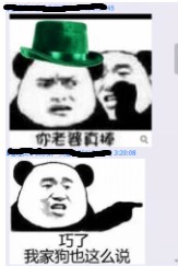 14798166593Sp.jpg