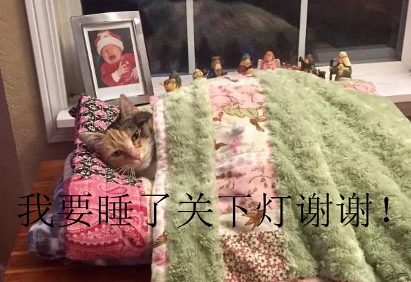 1483348665Azq.jpg