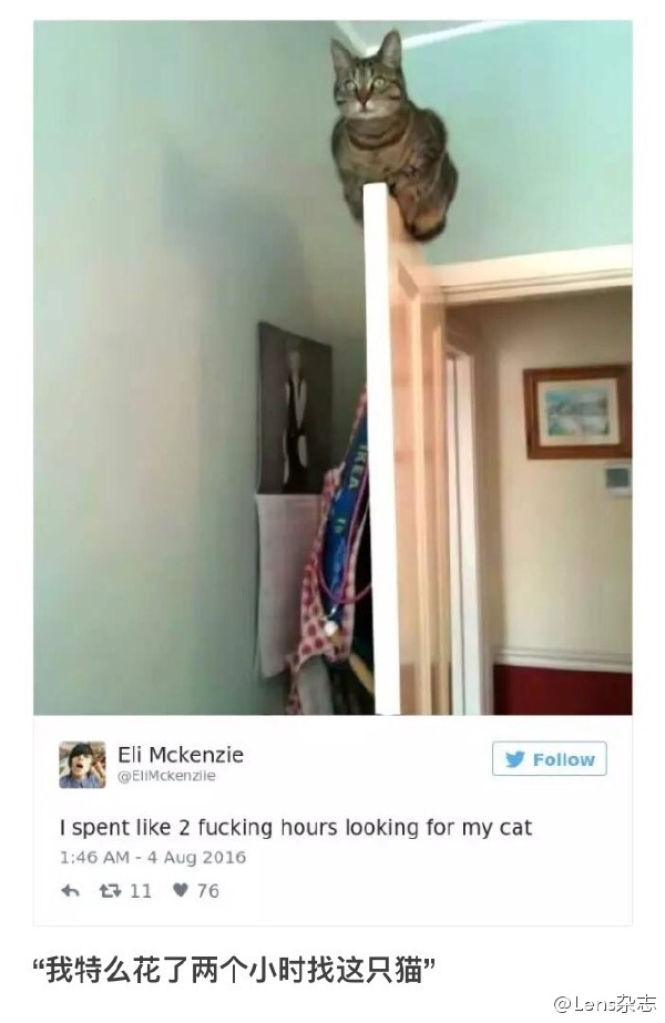 1483348836cKe.jpg