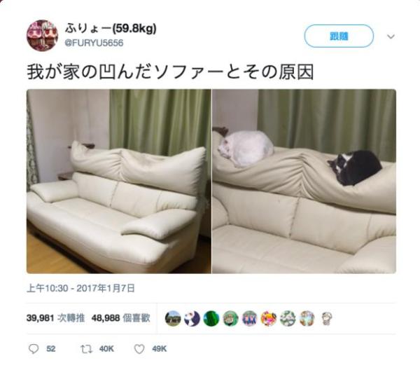 15011388394y6.jpg