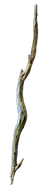 莊重之杖