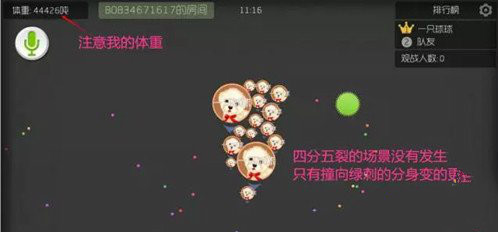 1469416455Pp1.jpg