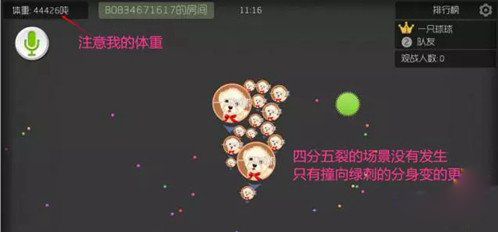 1474168059WDY.jpg
