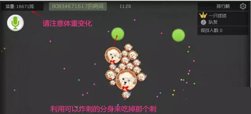 球球大作战16分身炸刺快速变大技巧