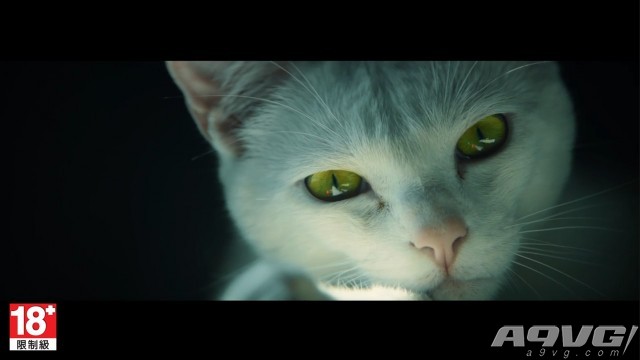 《幽灵行动 荒野》中文宣传片“红点猫”公布 发售日3月7日