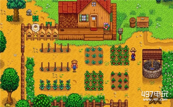 星露谷物语stardew valley1.06版本如何养鸡赚钱_新版本养鸡赚钱技巧攻略详解