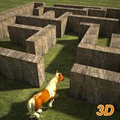 小马闯迷宫3D