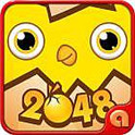 小鸡哔哔2048